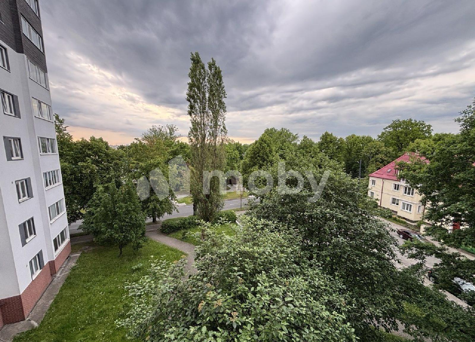 Фото: e76fa353-7857-4c91-9ee1-78371ae26e5d.jpg
