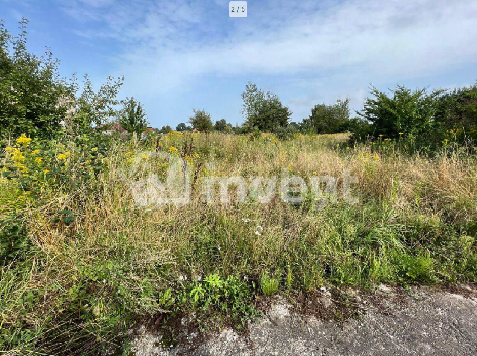 Фото: e7754cd3-4246-487d-b0a9-d78a44168e24.PNG