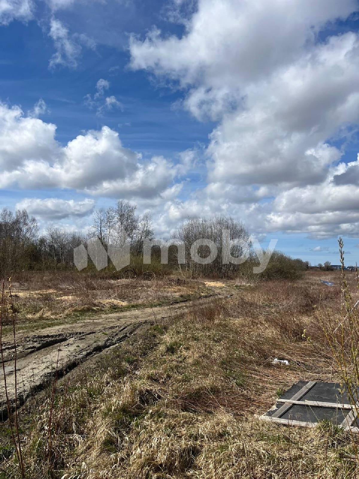 Фото: e792aec4-a22f-4529-af78-112e4f20585f.jpeg