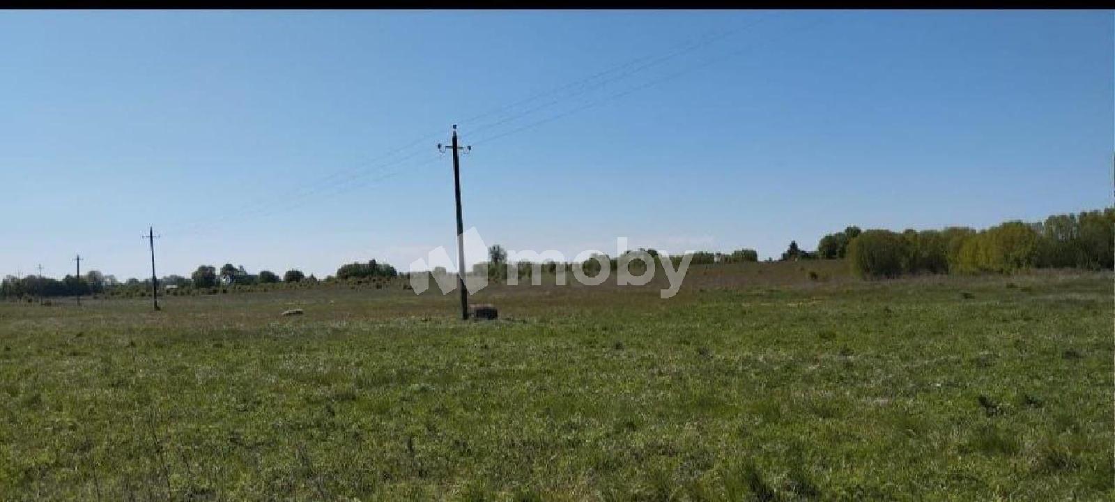 Фото: e82ee8cc-5c18-4c63-8cfb-5554fbbc42fb.jpg