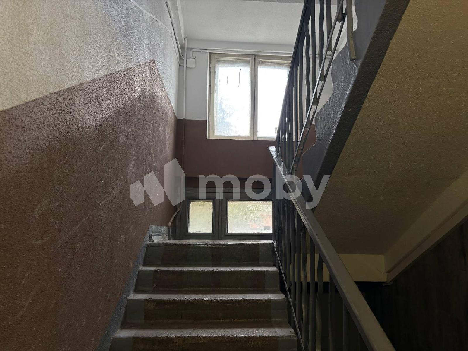 Фото: e8f702fd-99d3-421e-9454-5eb6abfd54af.jpg