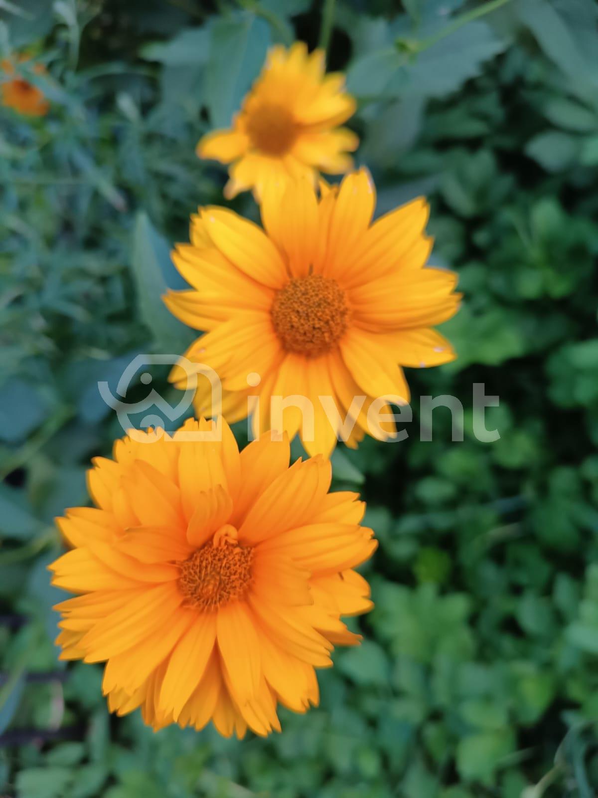 Фото: e93cc862-4073-4cca-bfad-e59d17bc80ba.jpg