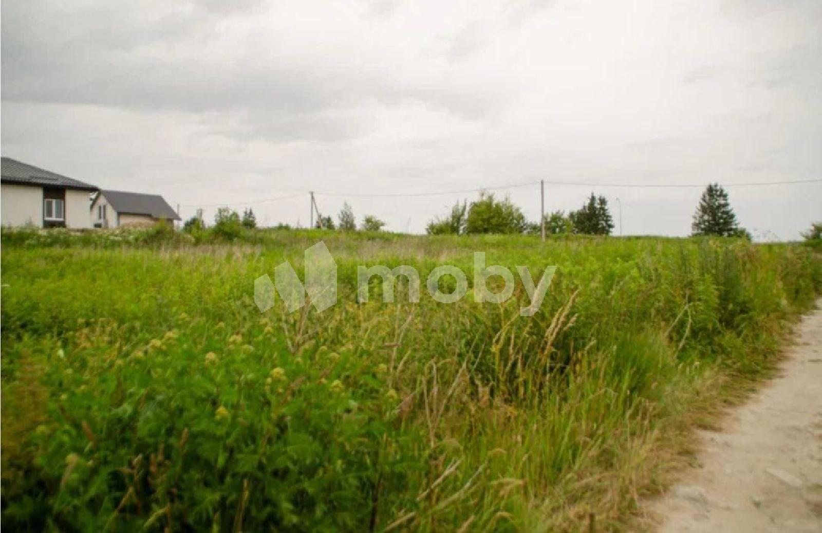 Фото: e94bd0d1-06a9-4fae-b75d-35835df7fd29.jpg