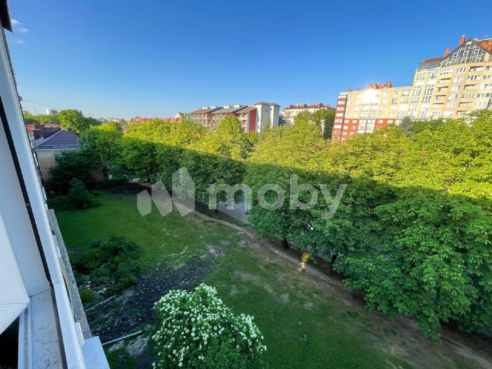 Фото: e961b04b-e8f5-4c4c-aef0-4760d7ee0aa8.jpg