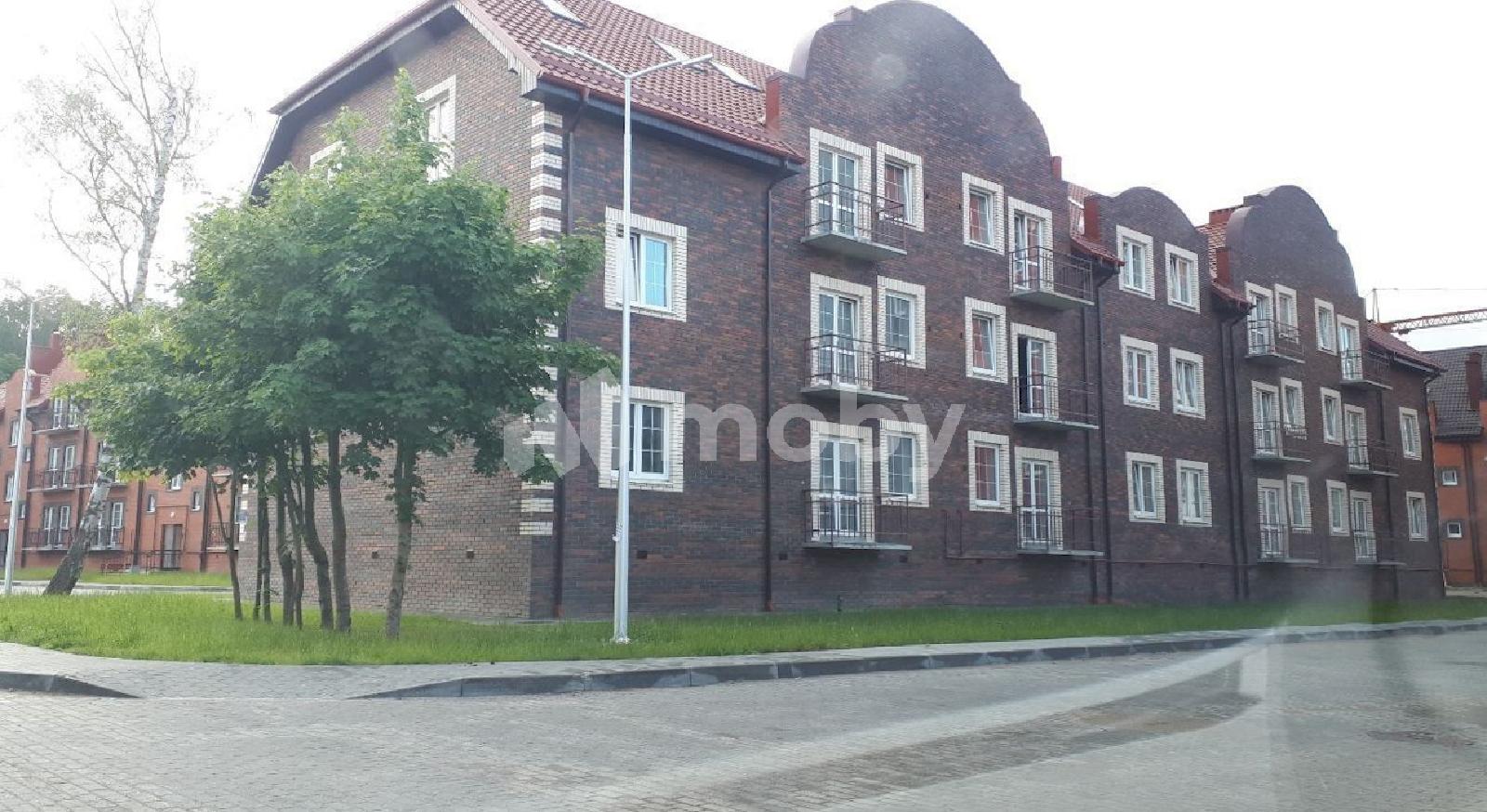 Фото: e9696010-be7c-4f7c-a27f-a5f8a721aec3.jpg