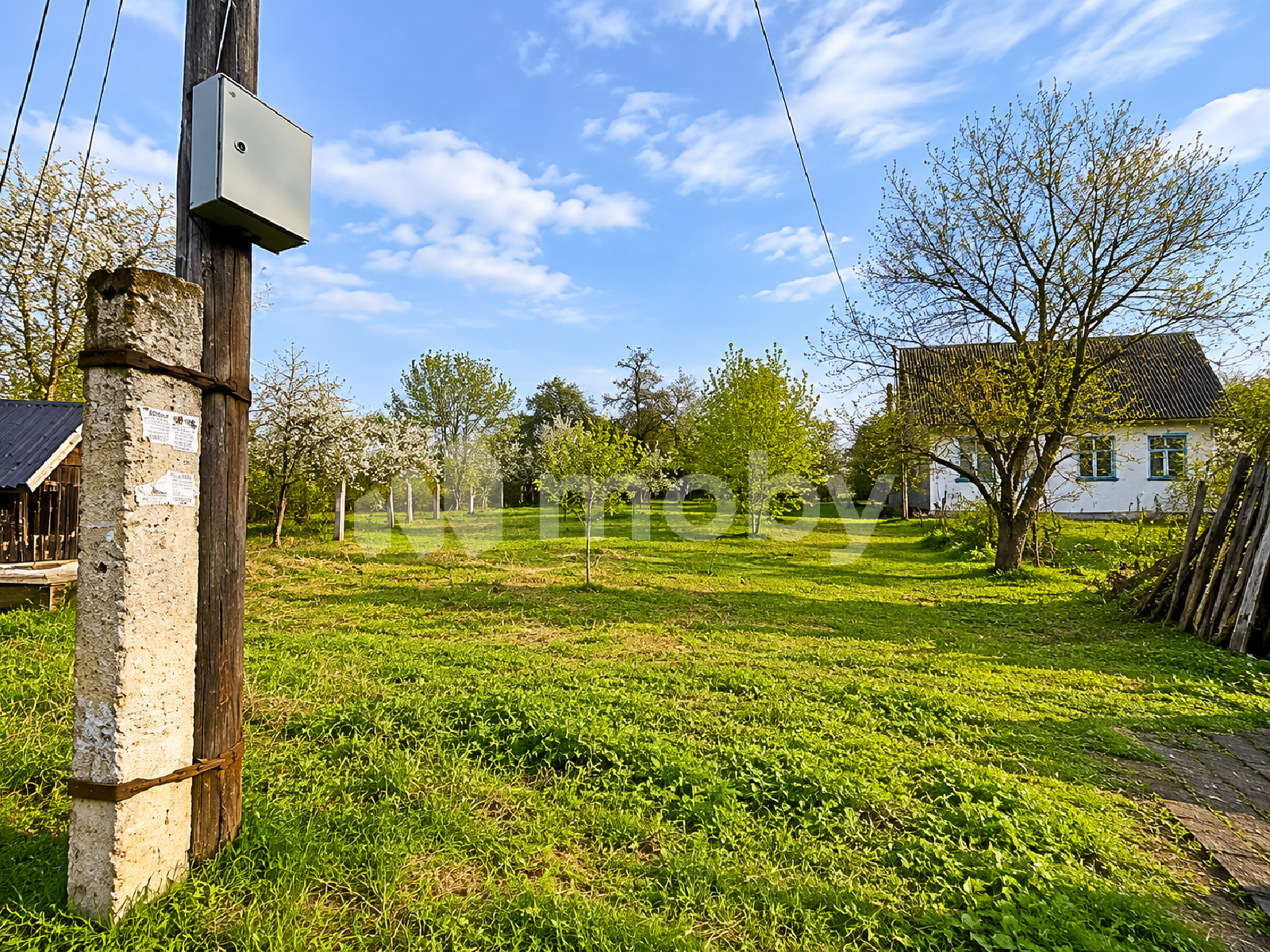 Фото: e9b3635f-8bfe-46dc-94e7-87fd50cb3c72.png