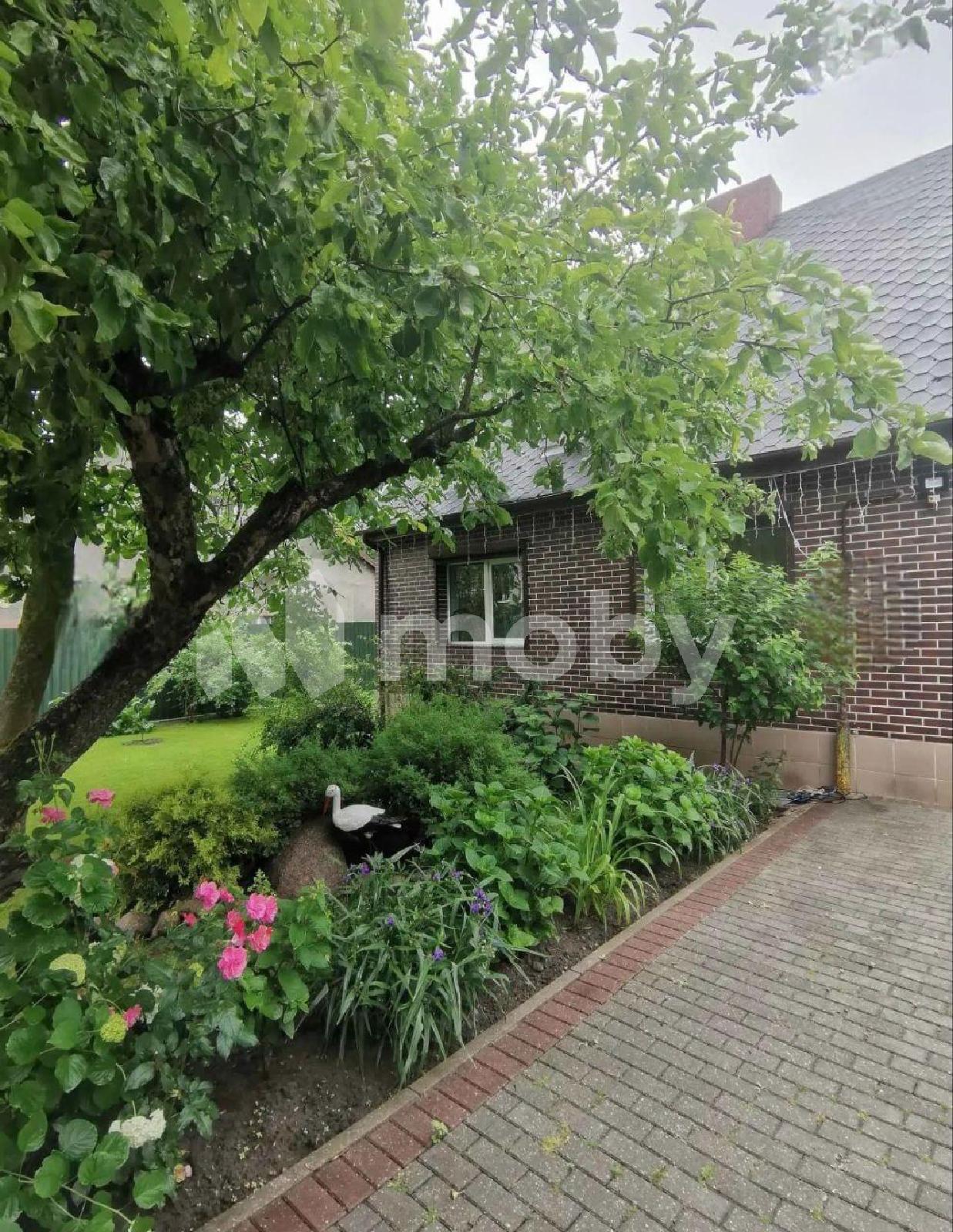 Фото: ea4add15-e730-4c4e-9fa4-27786fdf18a6.jpg