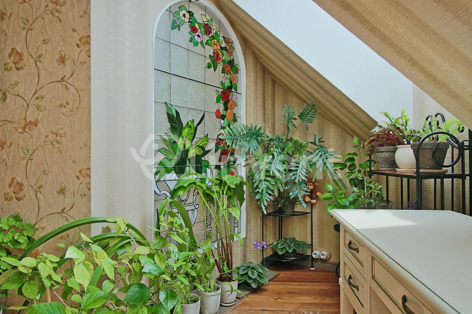 Фото: ea99b781-2d9d-420b-bde5-4427ea55ac20.JPG