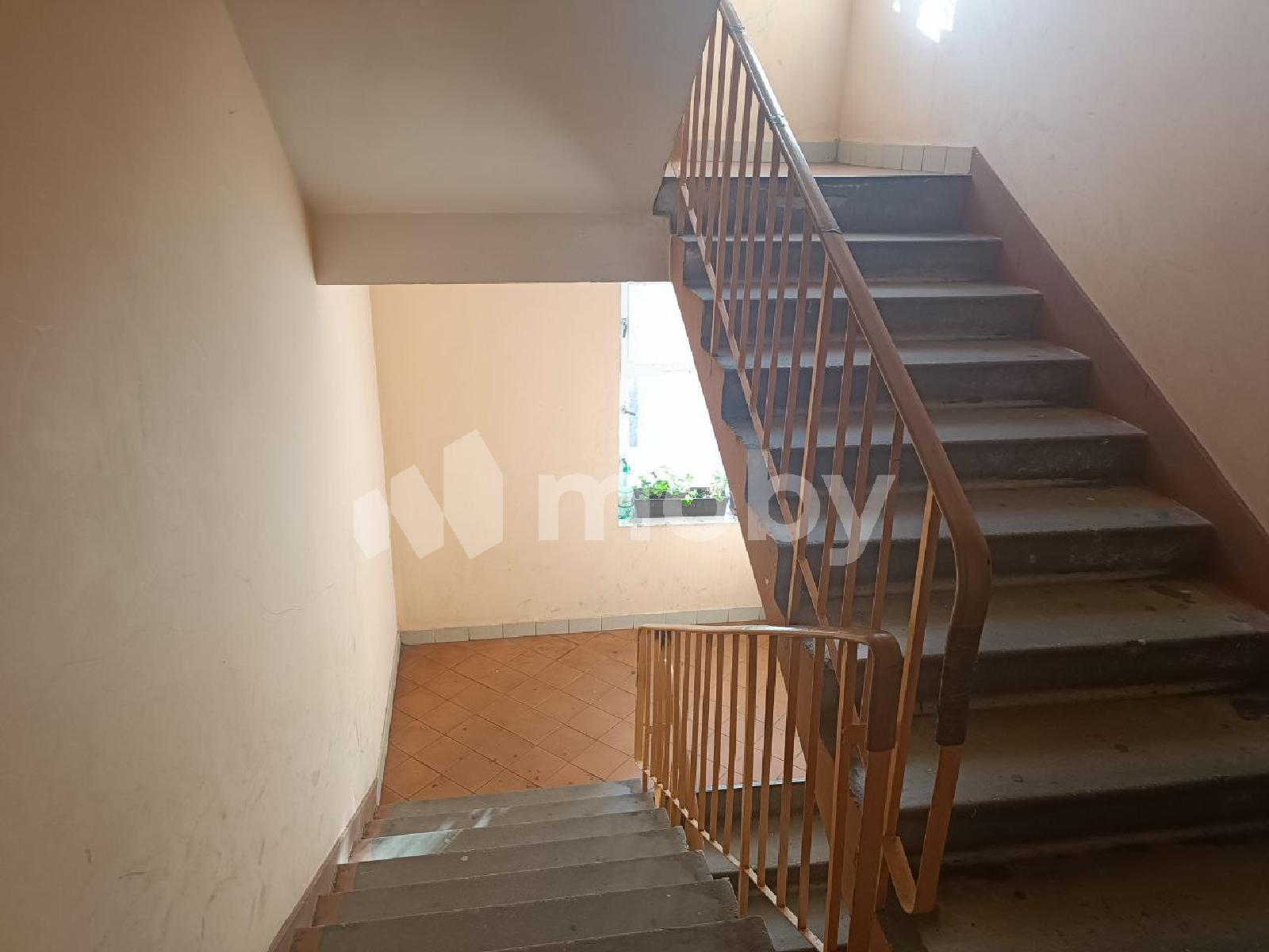 Фото: eb38d705-1a50-4d39-bac8-4fbcbb660ba0.jpg