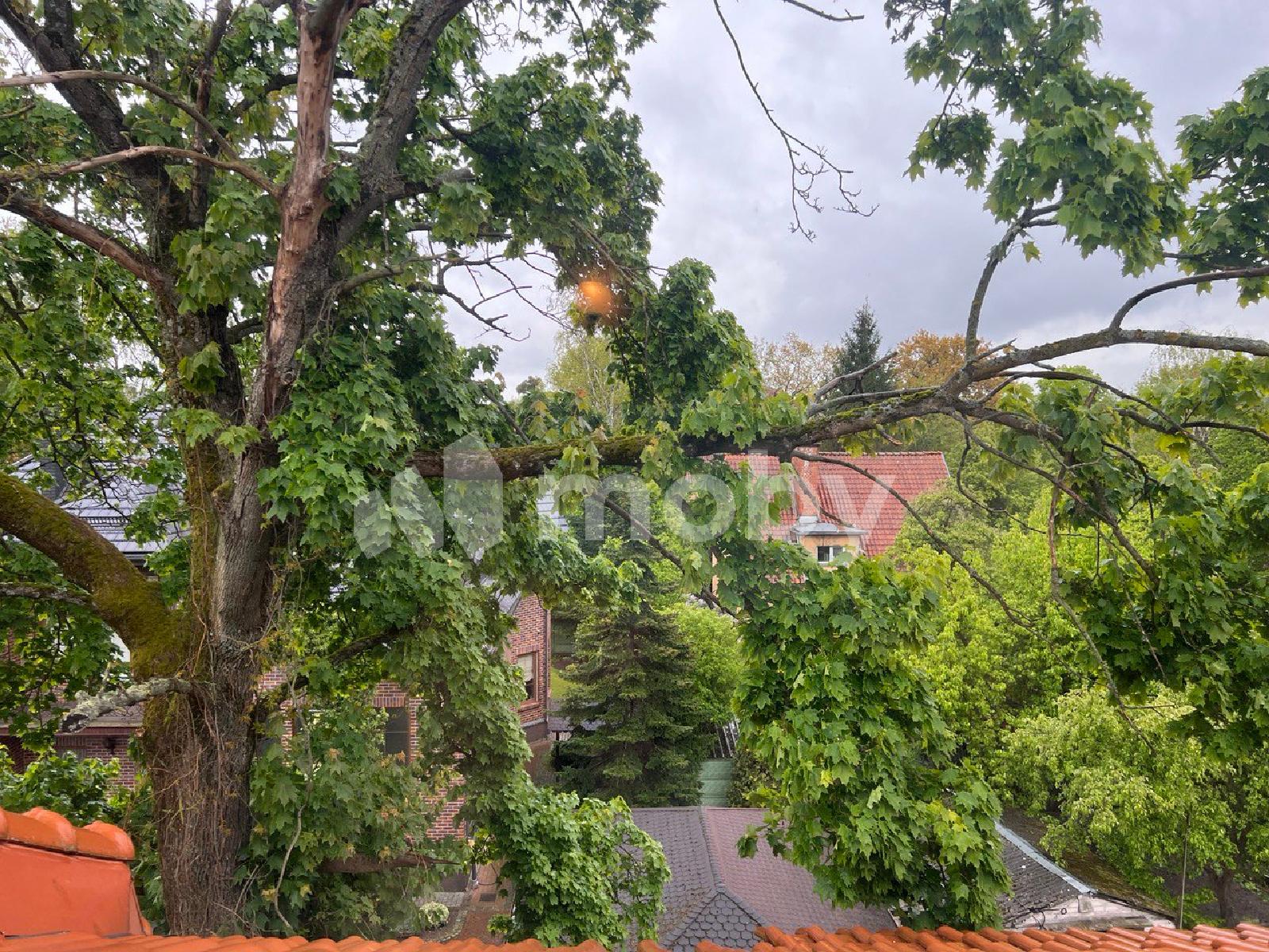 Фото: ecb0005a-1399-4b58-abcf-f0cc1e5fa05b.jpg