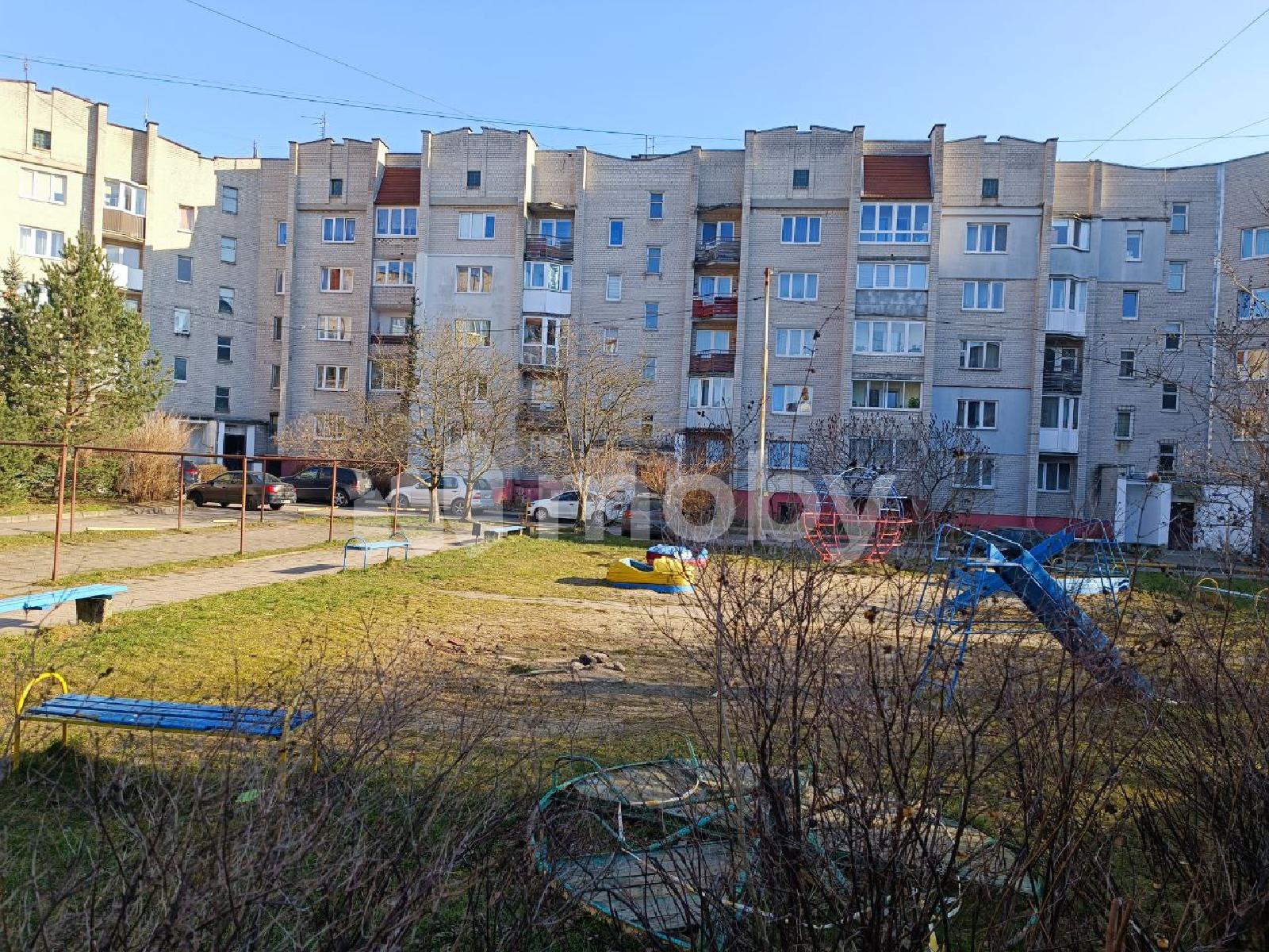 Фото: ed4ec668-9f04-4acc-b995-c0d42b73a9b0.jpg