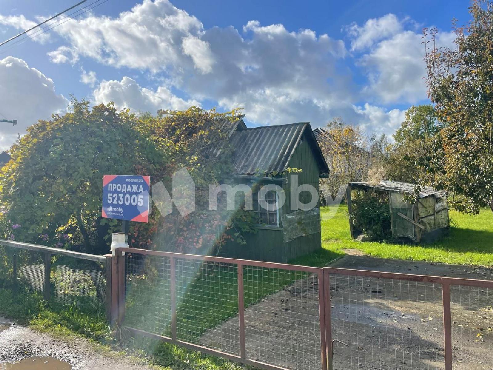 Фото: ed57fa5f-f463-414c-af8b-2dc2ca618b09.jpg