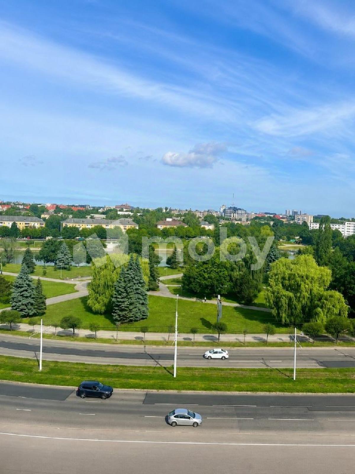 Фото: ede0bd8e-c353-43f3-920c-38df44cb7c4a.jpg