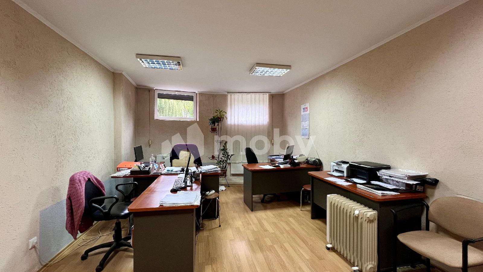 Фото: ee0fb67c-86ce-498e-b67a-4b228d834ef3.jpeg