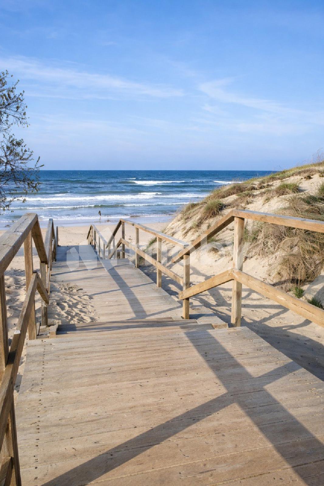 Фото: eec627c4-db68-4787-bbcd-6c6bad786b5b.jpg