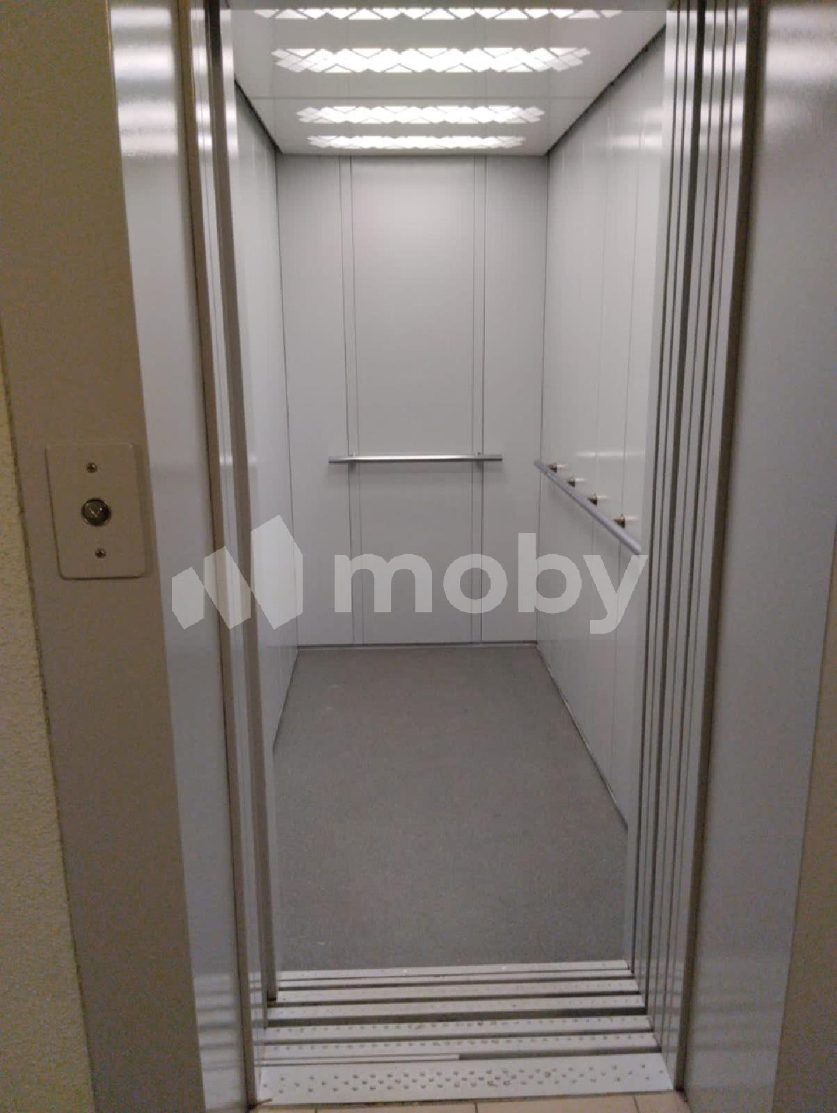 Фото: eec8cf6e-fa81-4679-8216-3aa146cc1cfd.jpg