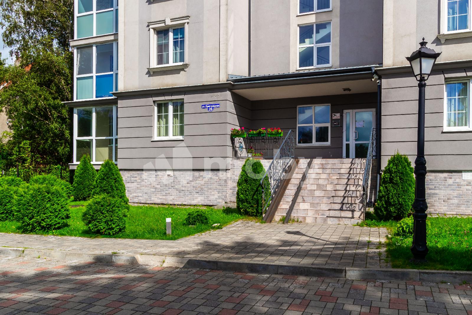 Фото: eee82247-8e67-441a-abbe-6aec2edc44ce.jpg