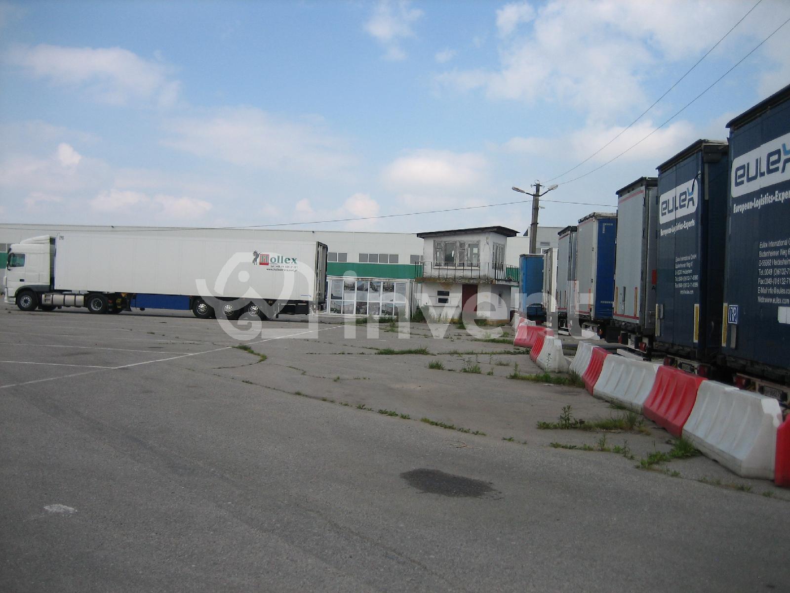 Фото: ef911a8c-c5b5-467d-95a6-6c65147ca3a5.JPG