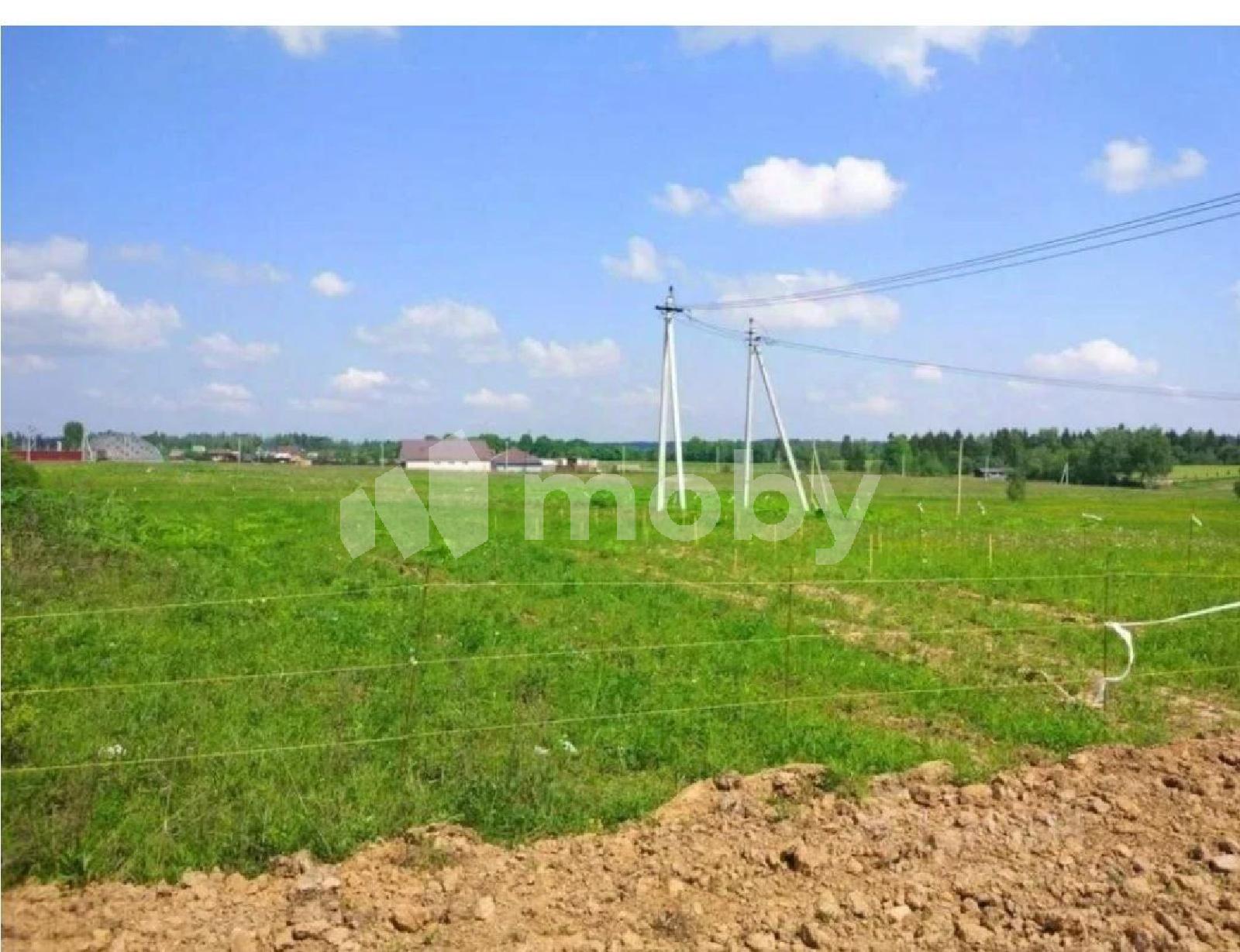 Фото: efe69898-81fb-4be4-927a-e5f99c25a713.jpg