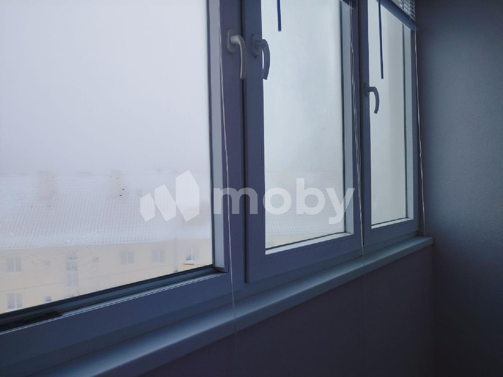 Фото: f0b007ab-6244-4bf6-b872-7bfb41563cca.jpg