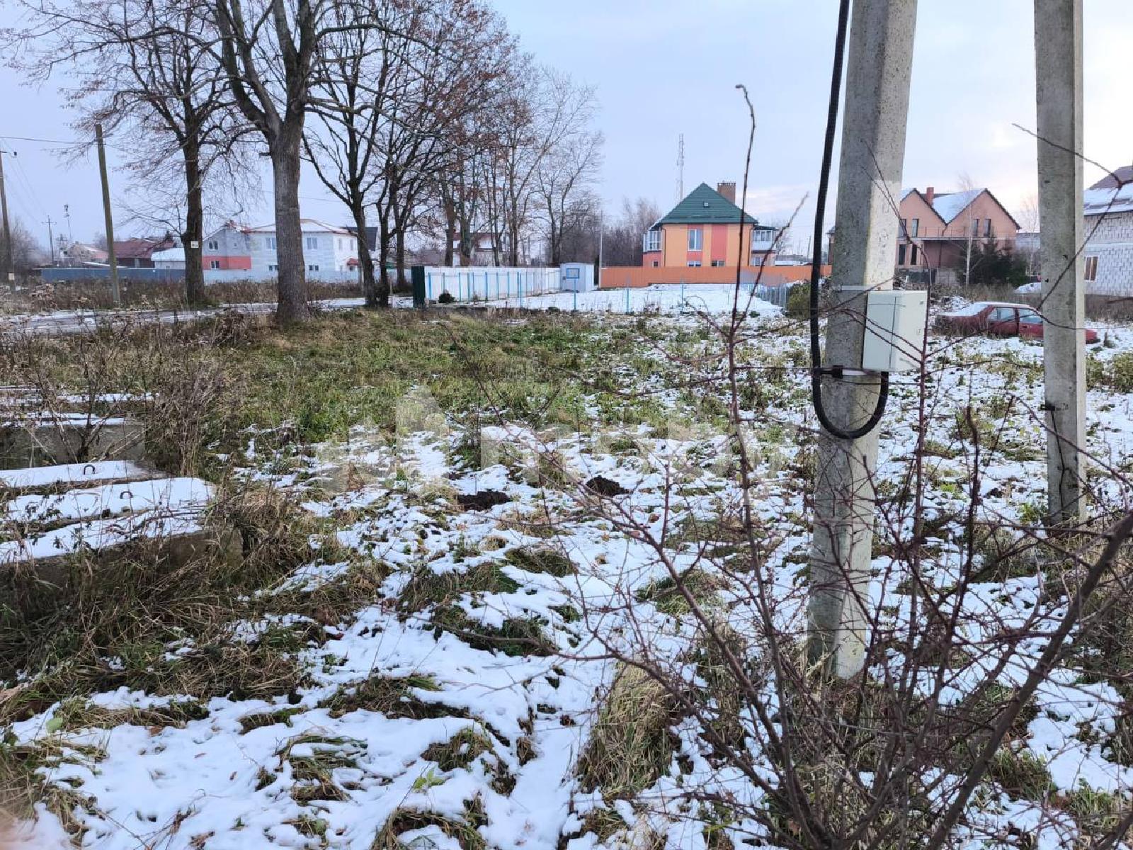 Фото: f0b08d1b-6cee-4266-a379-f460996b1cc0.jpg