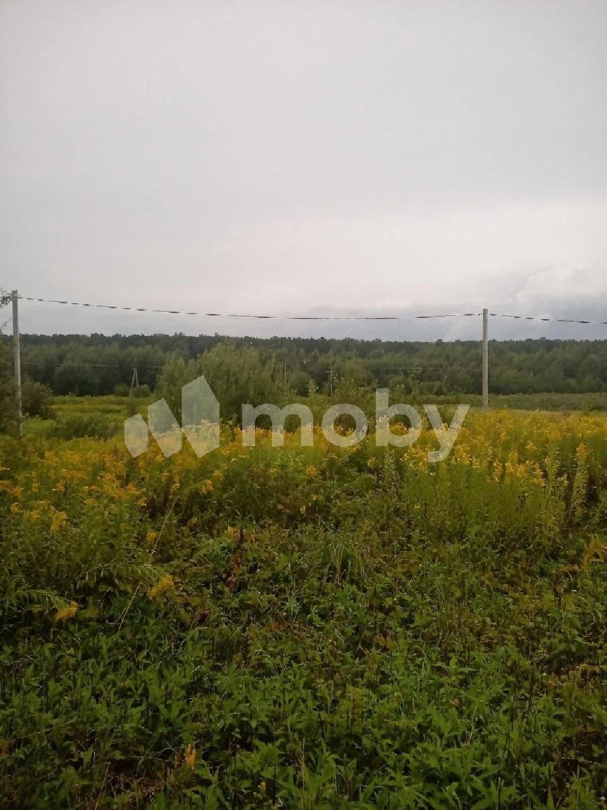 Фото: f10bc6de-ba2a-4575-ad17-4ae2a6c42ee0.jpg