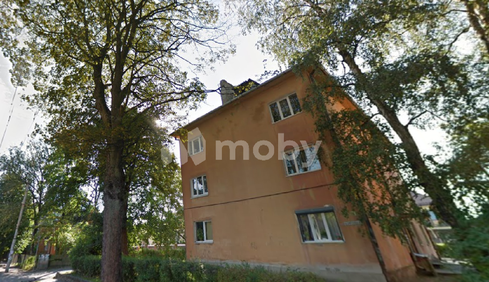 Фото: f1bc5698-40f0-4986-83d5-87e477090bae.png