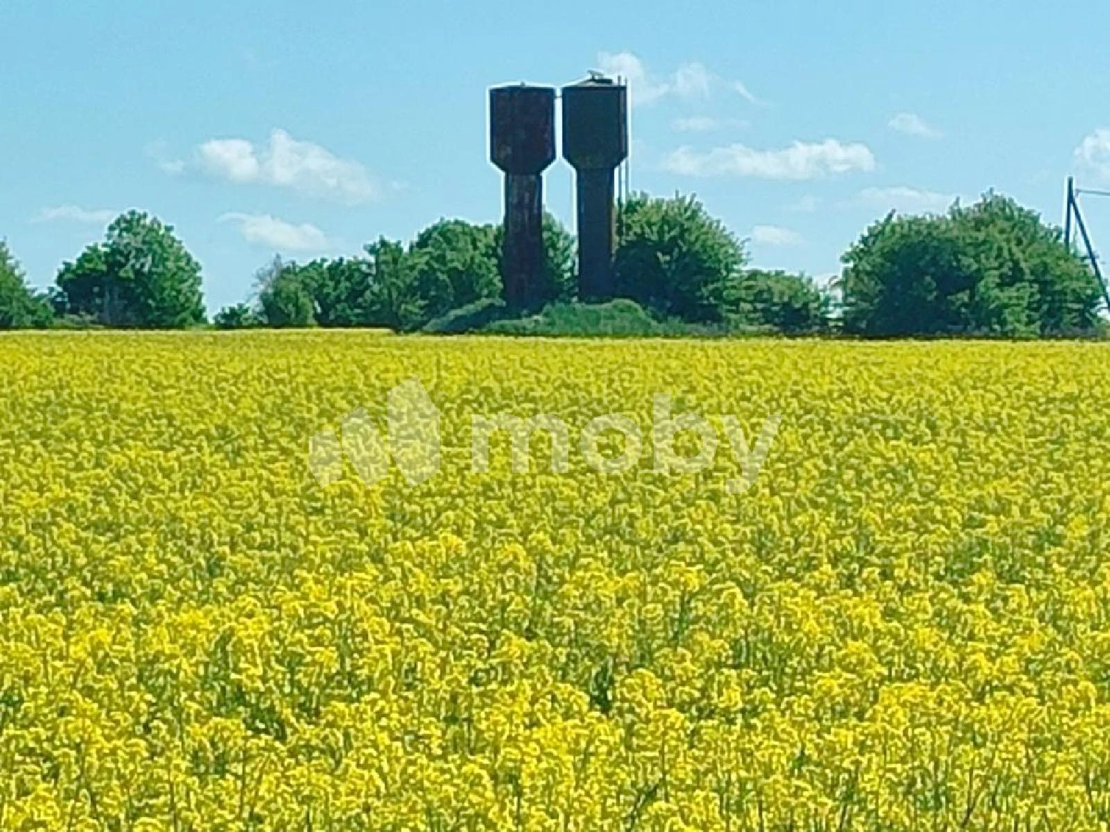 Фото: f25a6cd4-7530-4696-9fef-be2af56be75a.jfif
