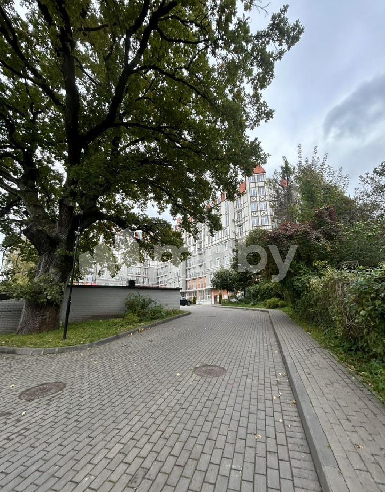 Фото: f2b92222-bd16-497c-8054-01fe7ce10d25.jpg