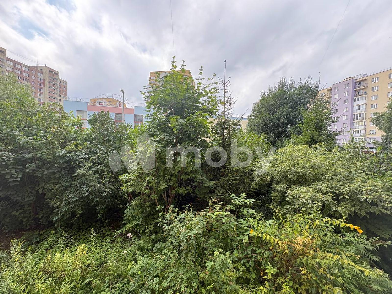 Фото: f32b3dd9-6dec-480b-9c33-c986ca93dd9a.jpg