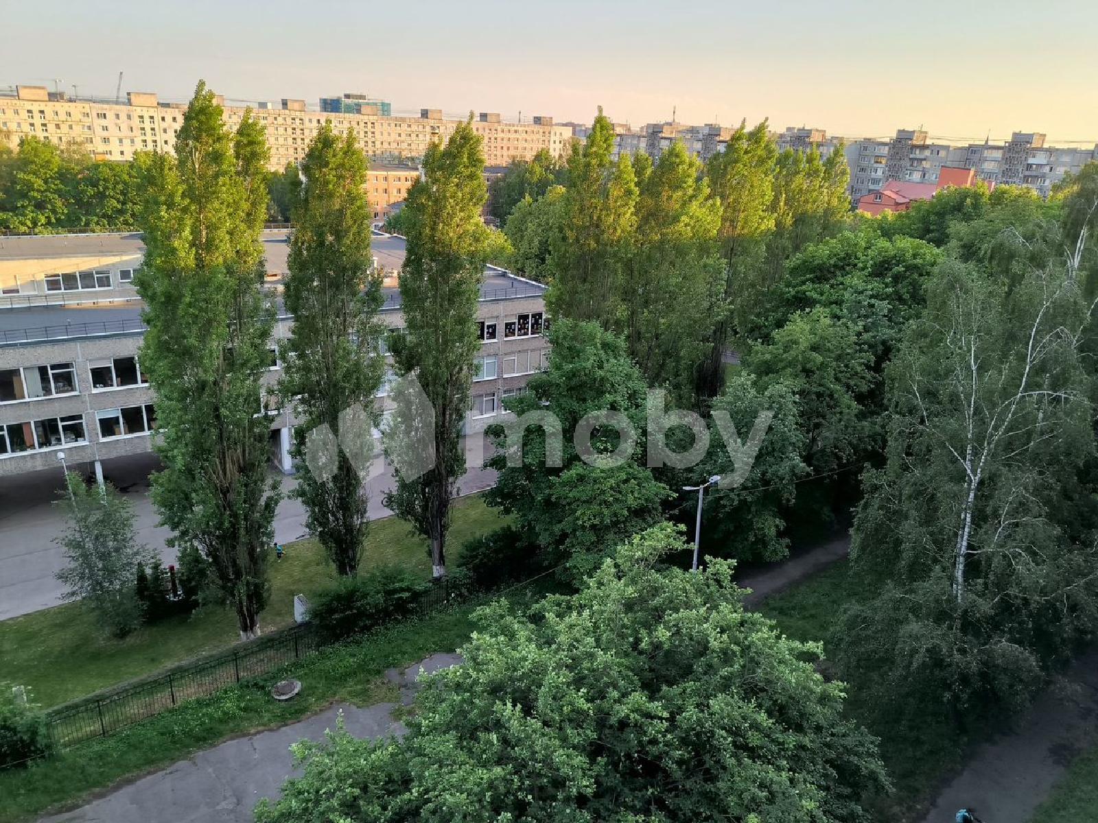 Фото: f3363864-ea7a-422f-9a2a-81e9338675e8.jpg