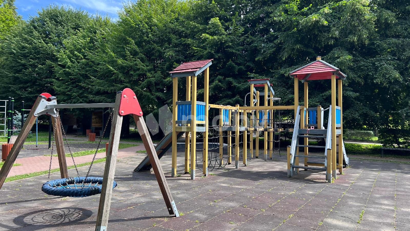 Фото: f39ad5b2-41cf-4a1c-b077-6dc8d5383f7d.jpeg