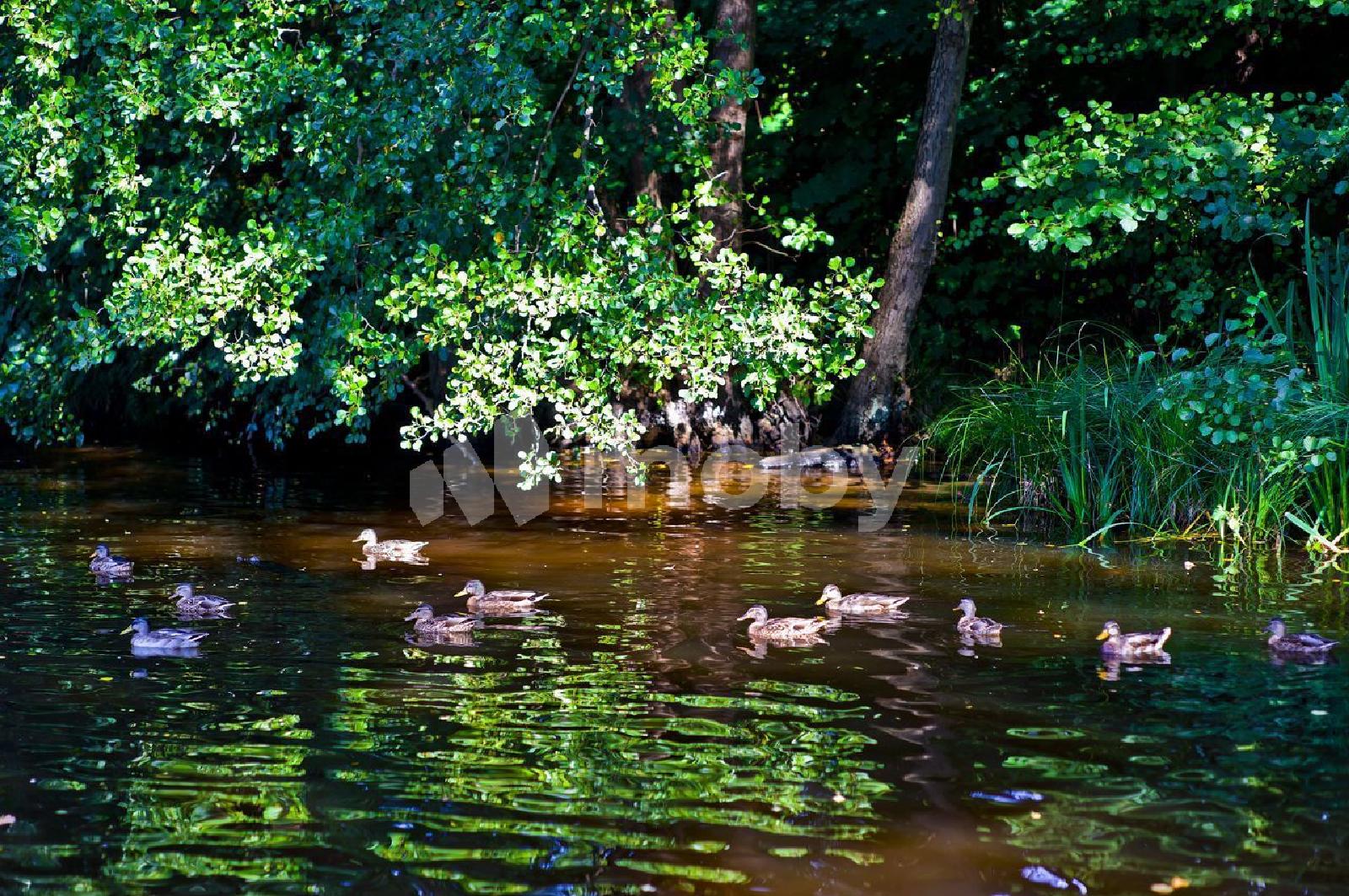 Фото: f479050d-d40a-4222-b70e-55c821c1475c.jpg