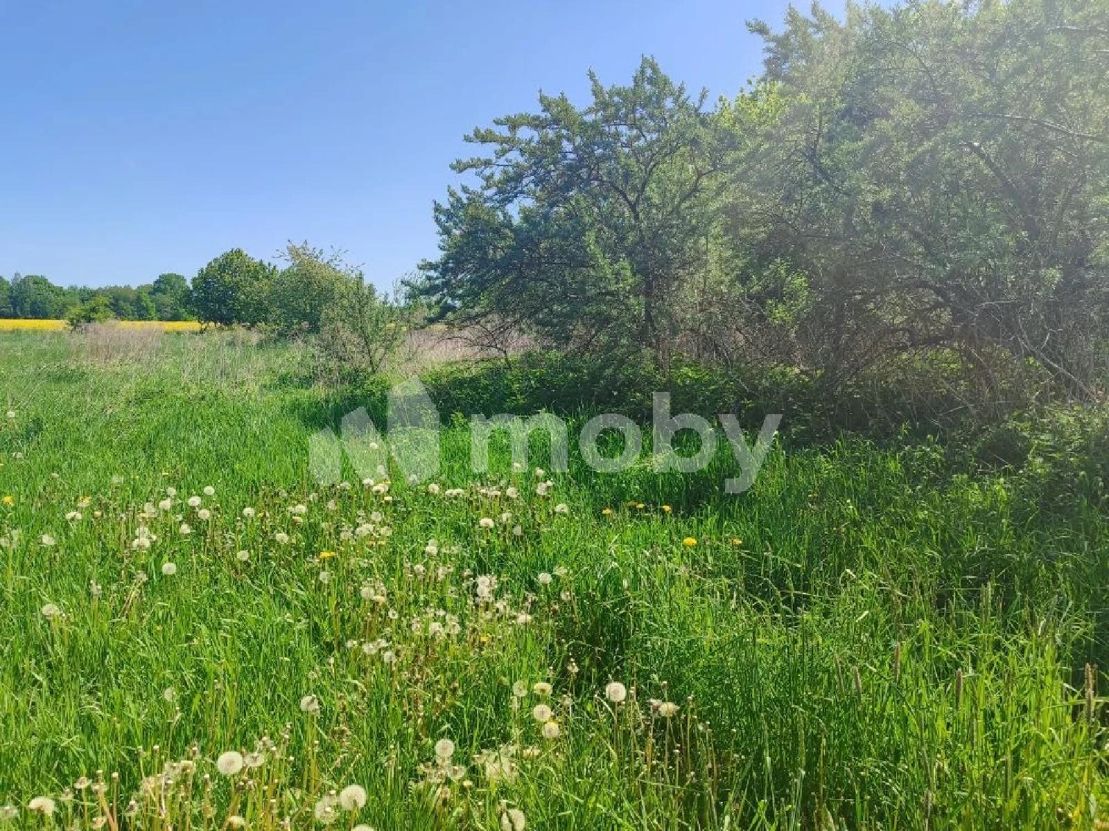 Фото: f52137a1-bd83-4b18-bc30-0ac52b880eb6.jfif