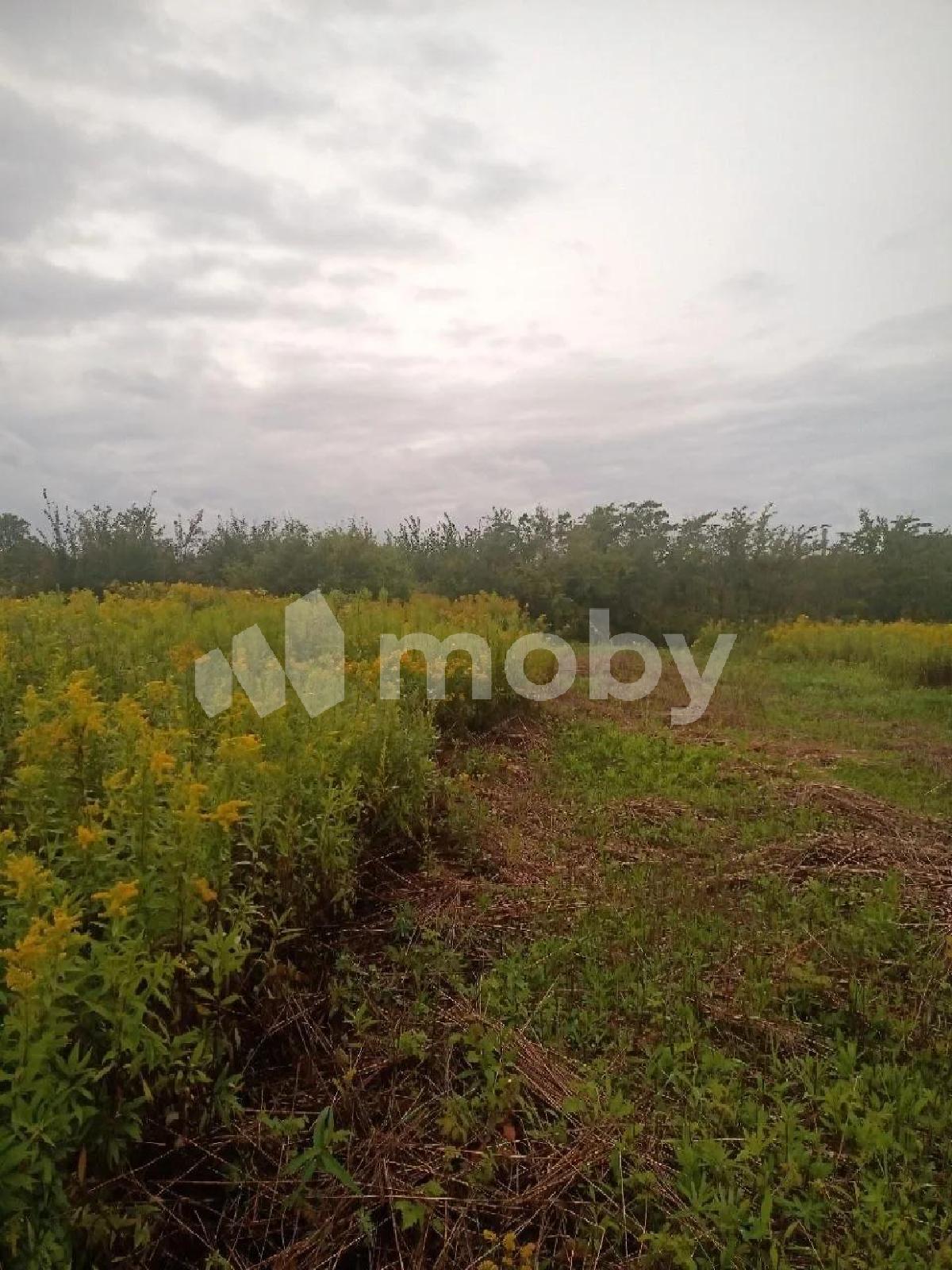 Фото: f5eafd4d-bed3-4004-a39a-3a5e40d1b2fa.jpg