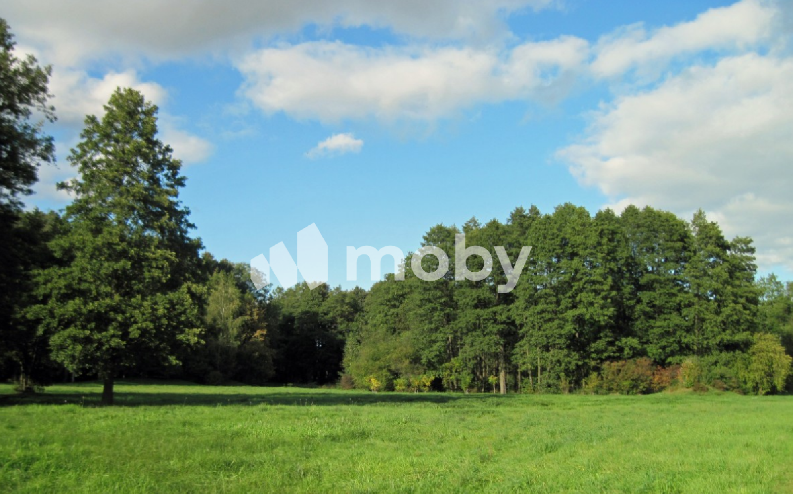 Фото: f6045b57-b74d-4437-a94c-1a3f81e27713.png