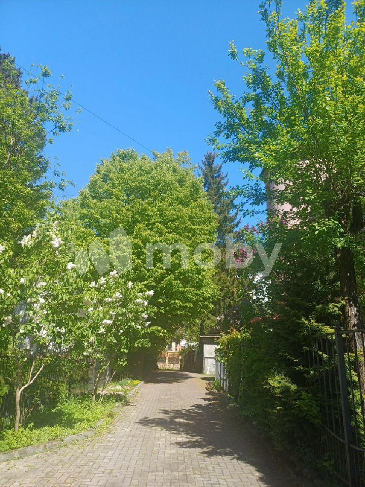 Фото: f6a6cd3e-bdbd-4ff6-837d-a1b0a14bd0d3.jpg