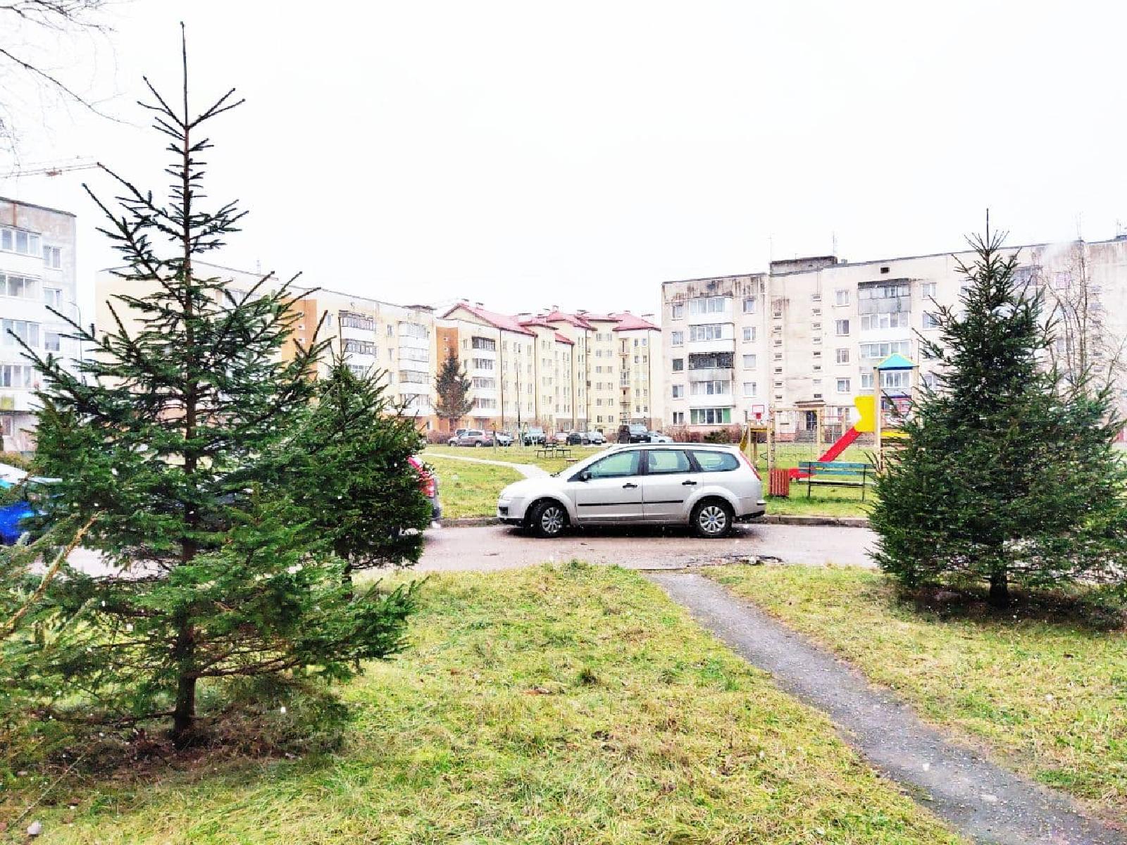 Фото: f6bb2702-0980-45c2-9ab7-fd5b87e96e1b.jpg