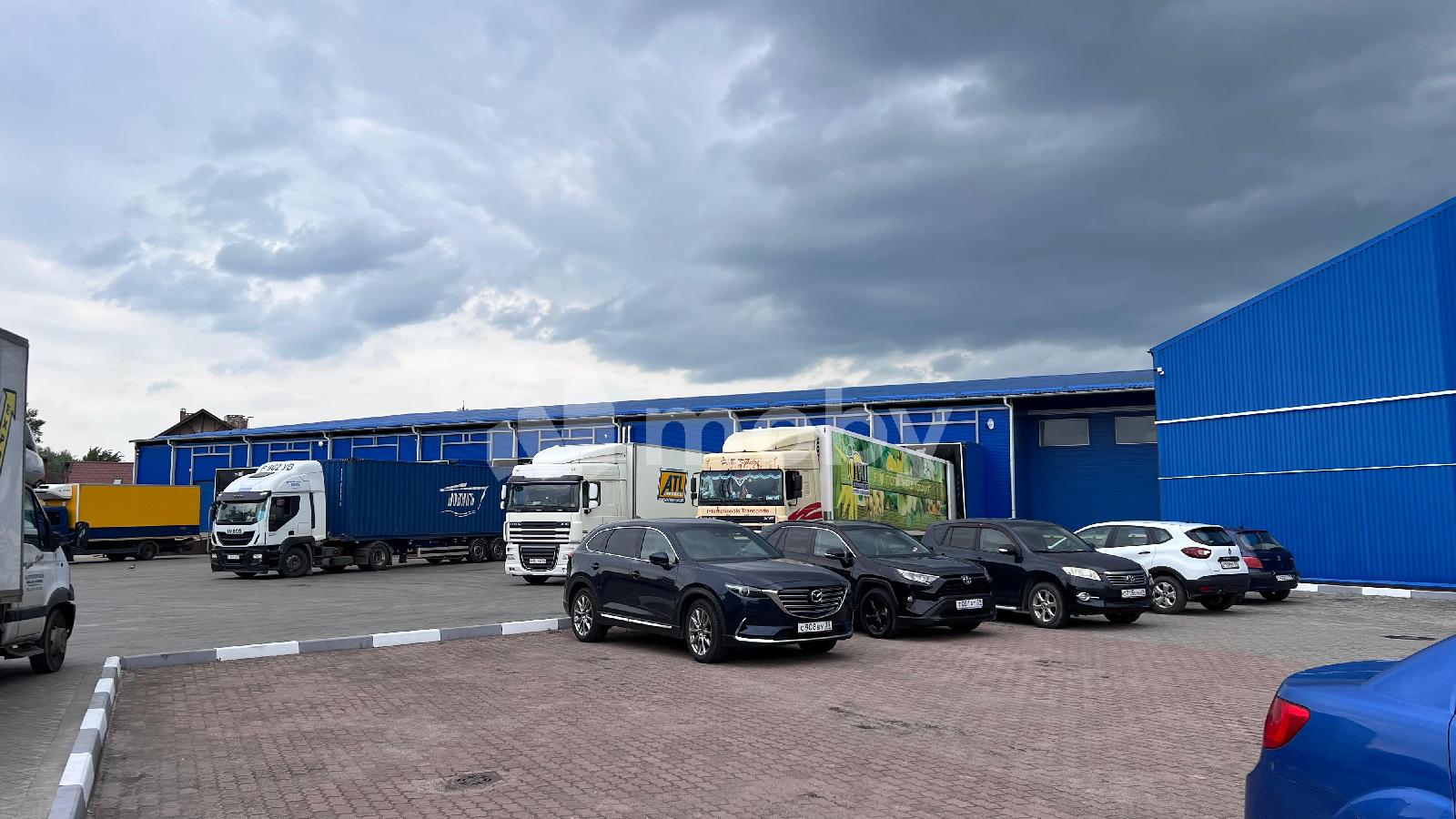 Фото: f6f84500-fff5-4725-98e3-1163d20779f1.jpeg