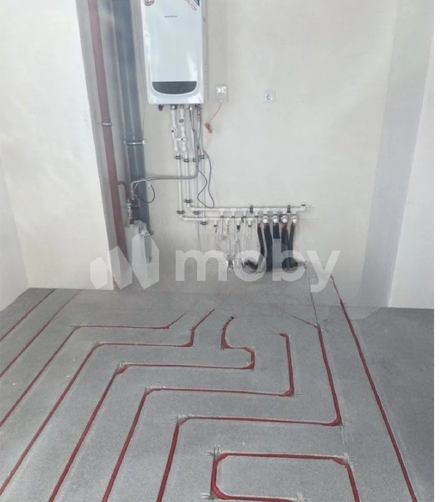Фото: f7c7cf21-5f4b-4b1e-bafa-b5e62e5ba478.PNG