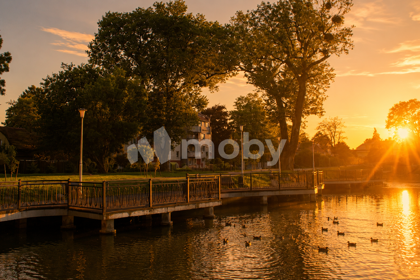 Фото: f81c02e2-6f1e-49bf-abb1-c7aea312867f.png