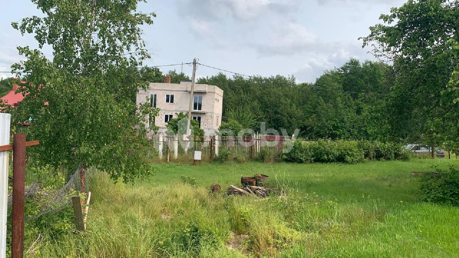 Фото: f862dc66-c35f-40d1-940a-fc6cc52079ec.jpeg