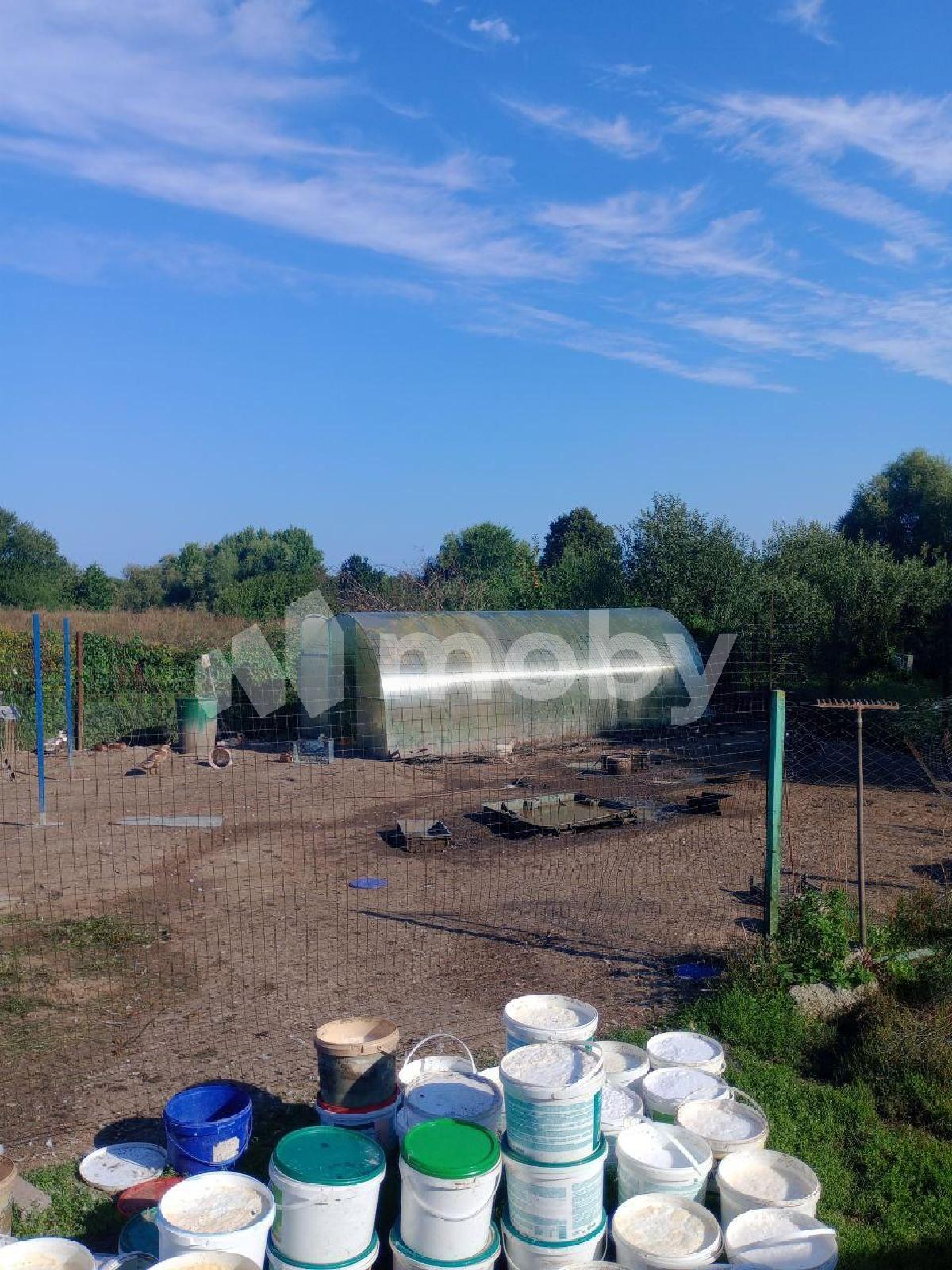 Фото: f8c5f4b6-e76d-4148-91e1-6a0179f3b1b8.jpg