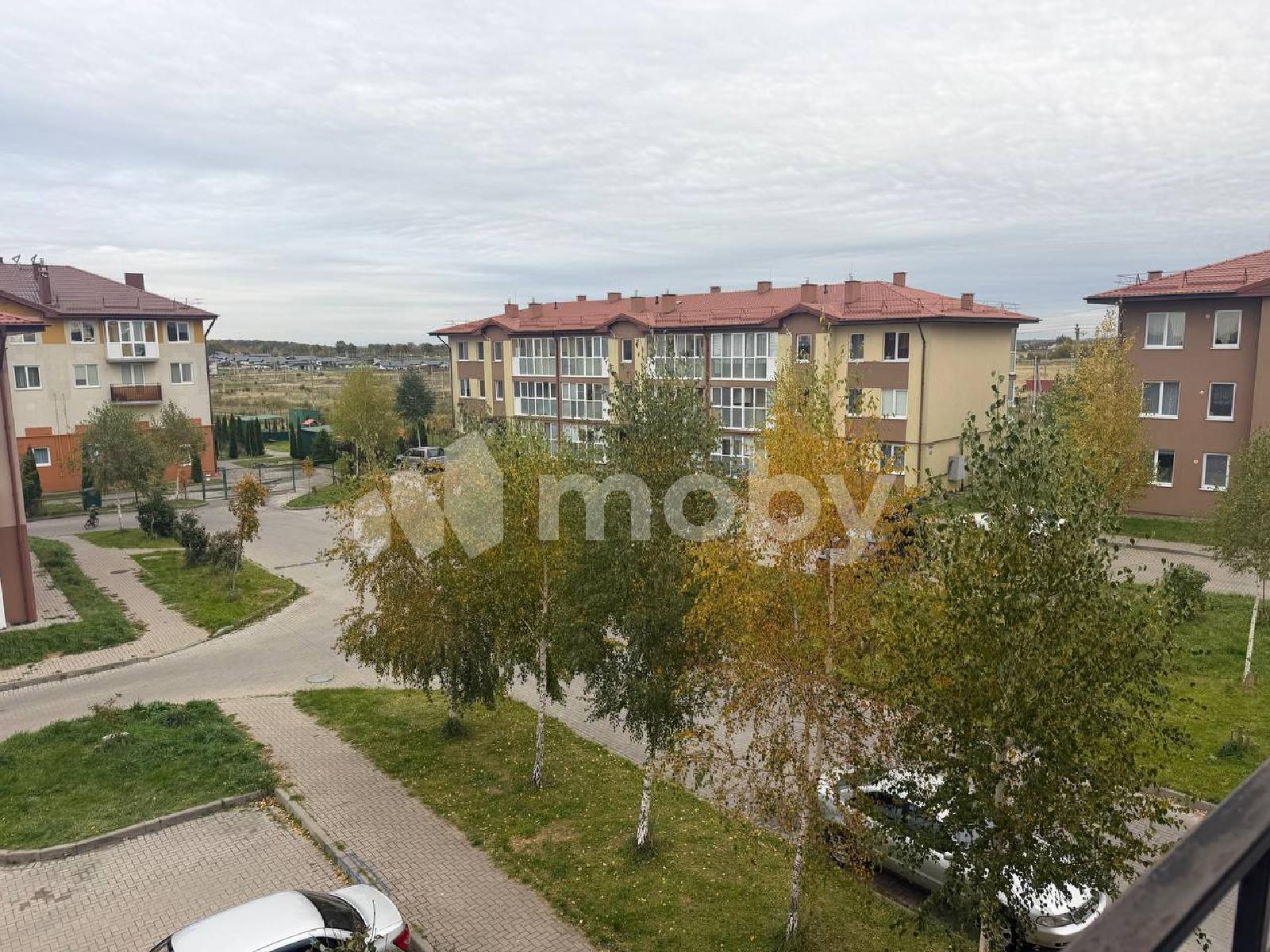 Фото: f8ec74e0-54cd-42b7-88af-f750e96f43ae.jpg