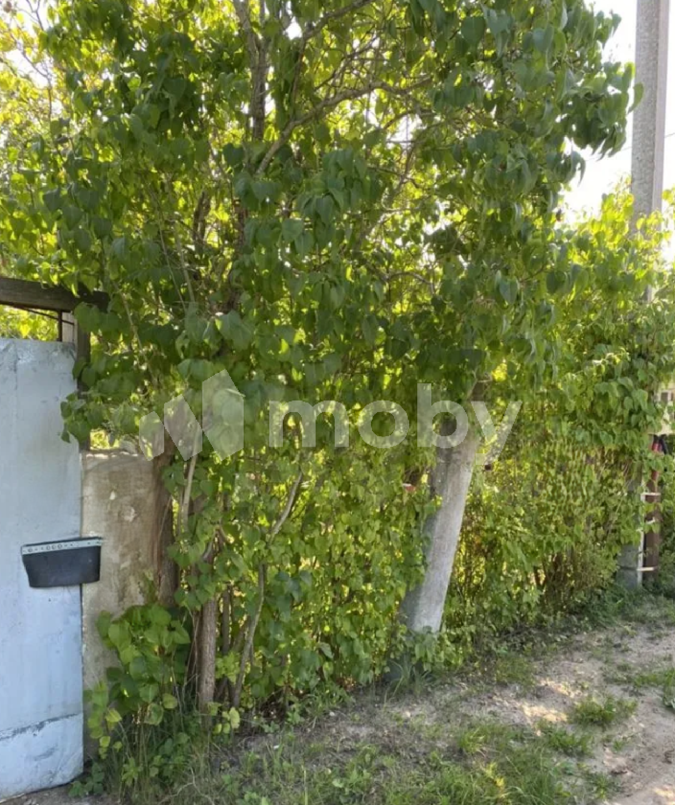 Фото: f98b5f5f-a63c-46c5-ae61-be6bad900be2.png