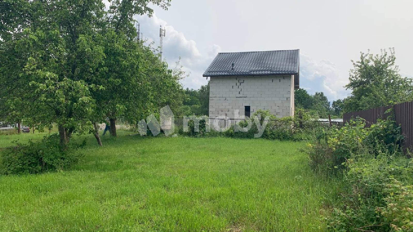 Фото: f9ca90e5-d56a-4e72-952e-21dbd4bb1766.jpeg