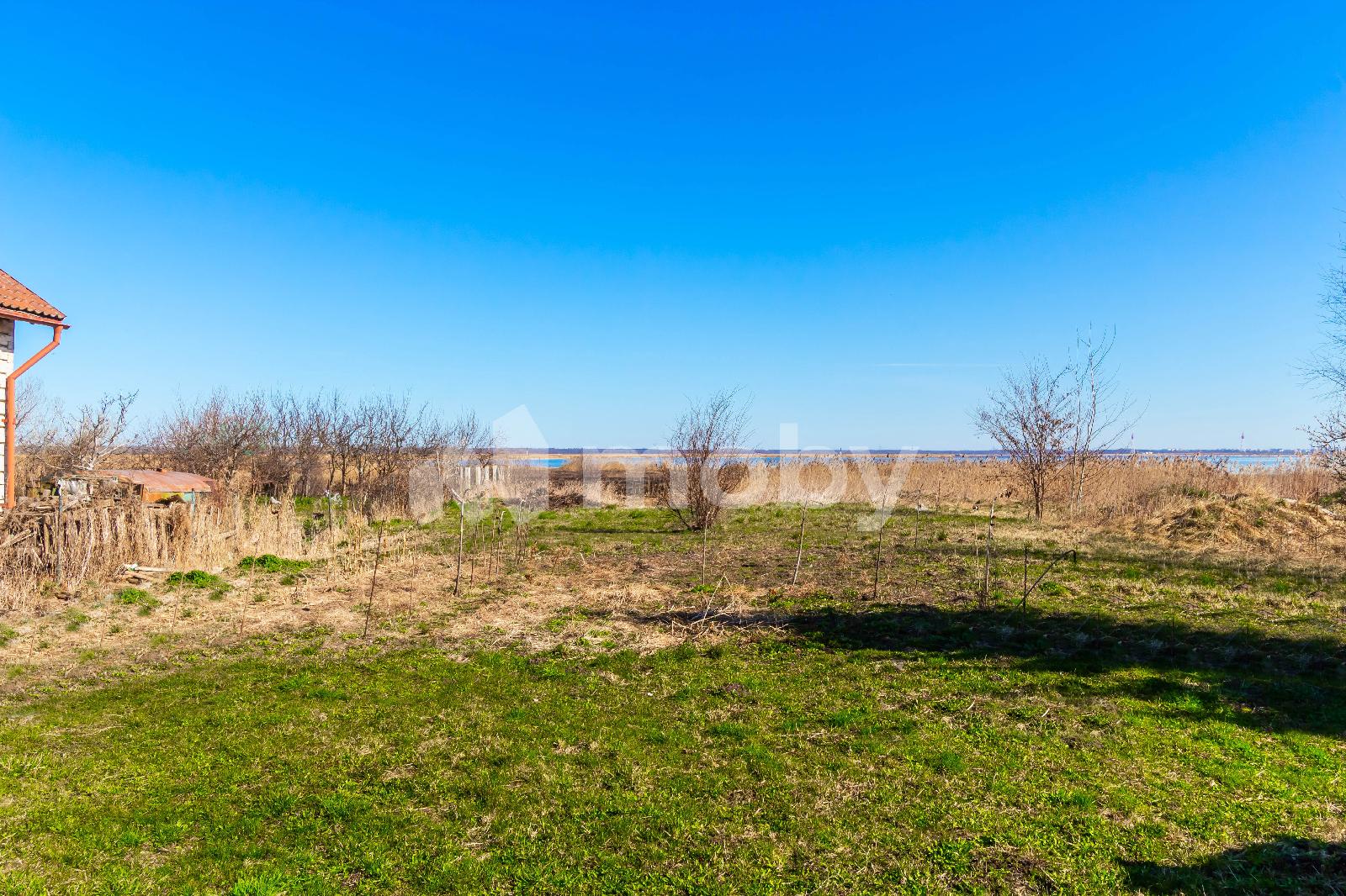 Фото: f9f72156-14e3-4a87-9dc9-a2cd2c868fe3.jpg