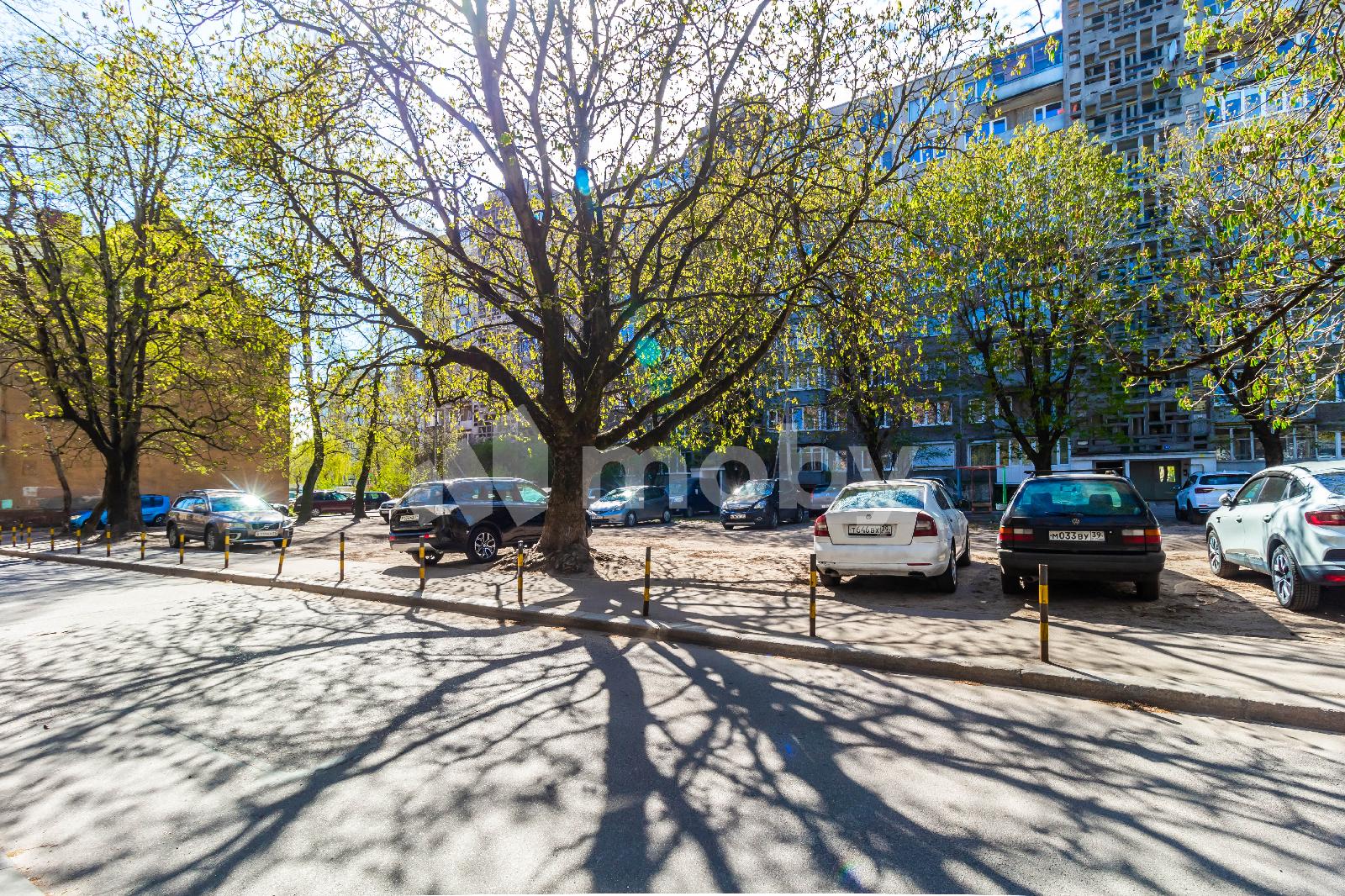 Фото: f9f8395b-0a1f-44af-9731-8a427398bd68.jpg