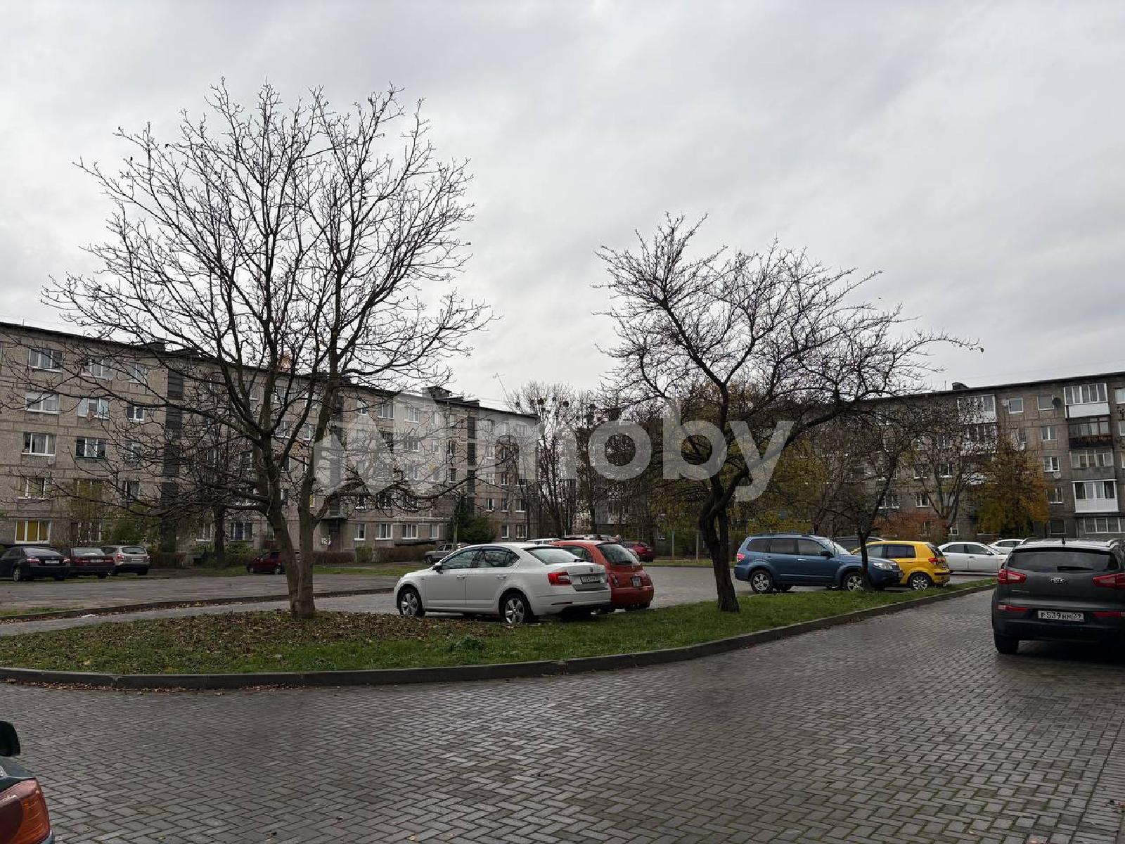 Фото: fa185294-17b9-4bab-a715-2b4d5567d243.jpg