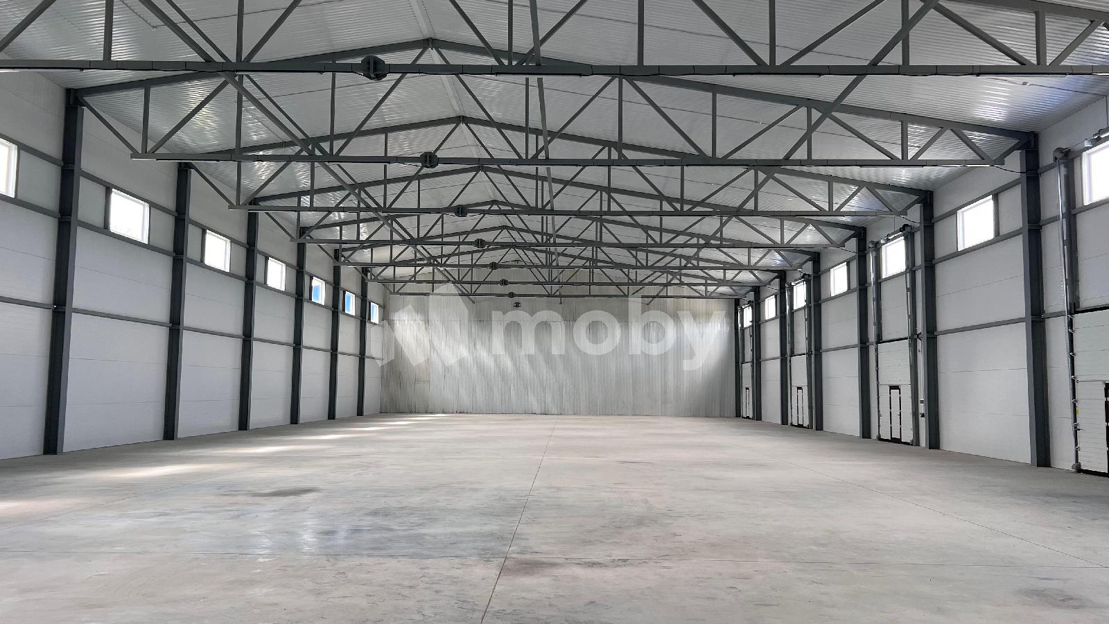 Фото: face7aa4-24cb-4707-8e6a-98c16ab60879.jpeg